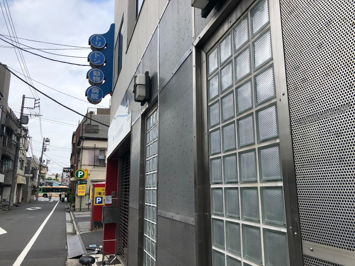 トリトン動物病院