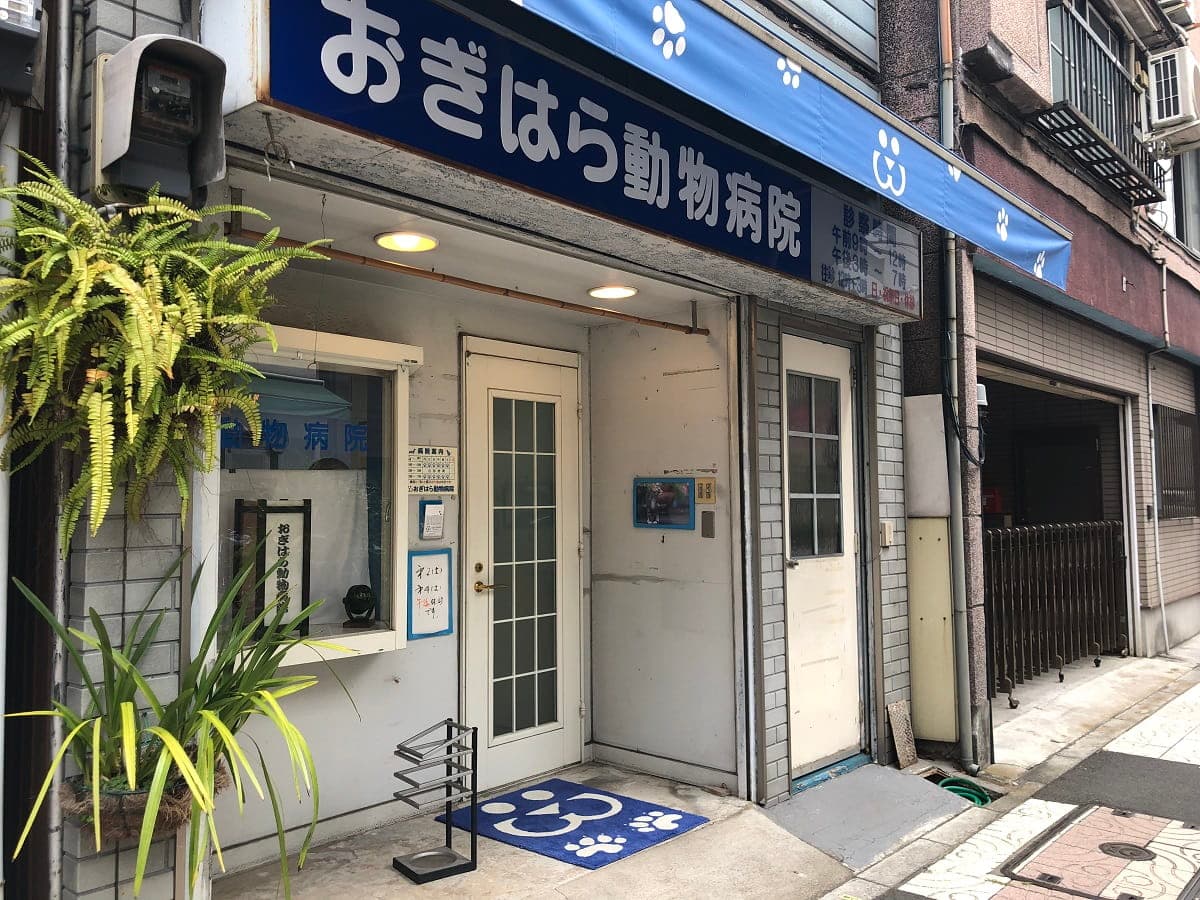 おぎはら動物病院