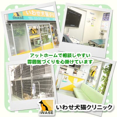 いわせ犬猫クリニック
