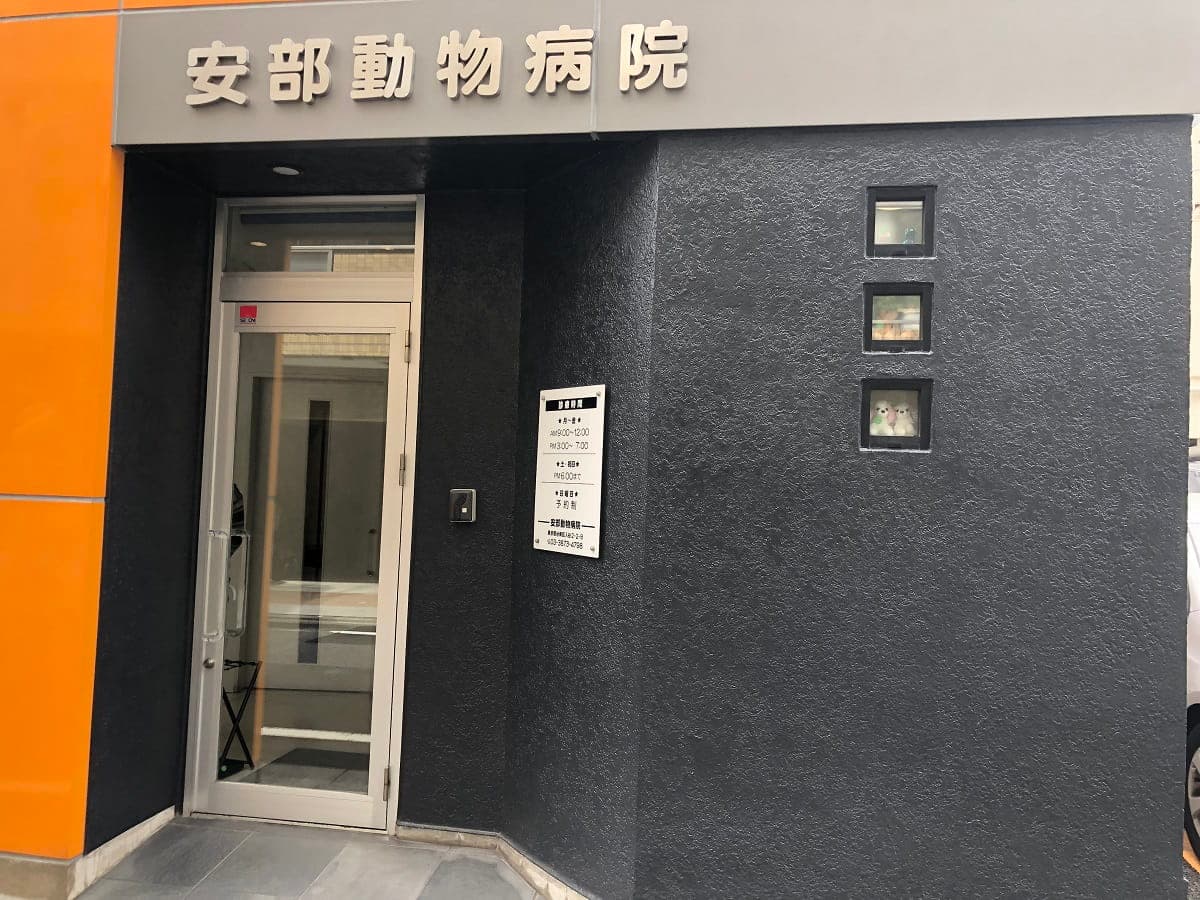 安部動物病院