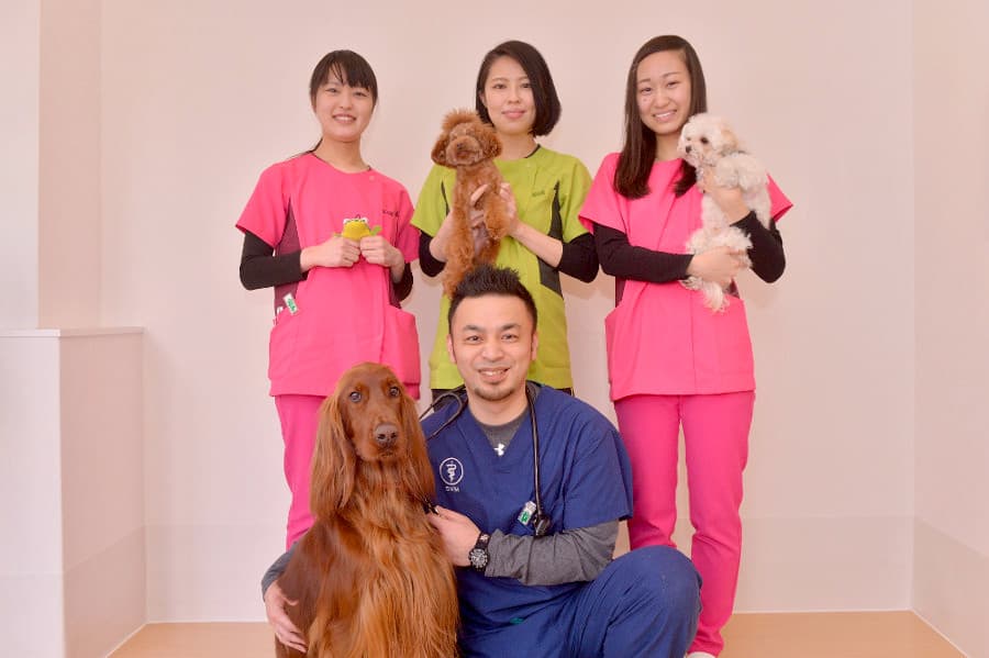 いけぶくろ動物病院