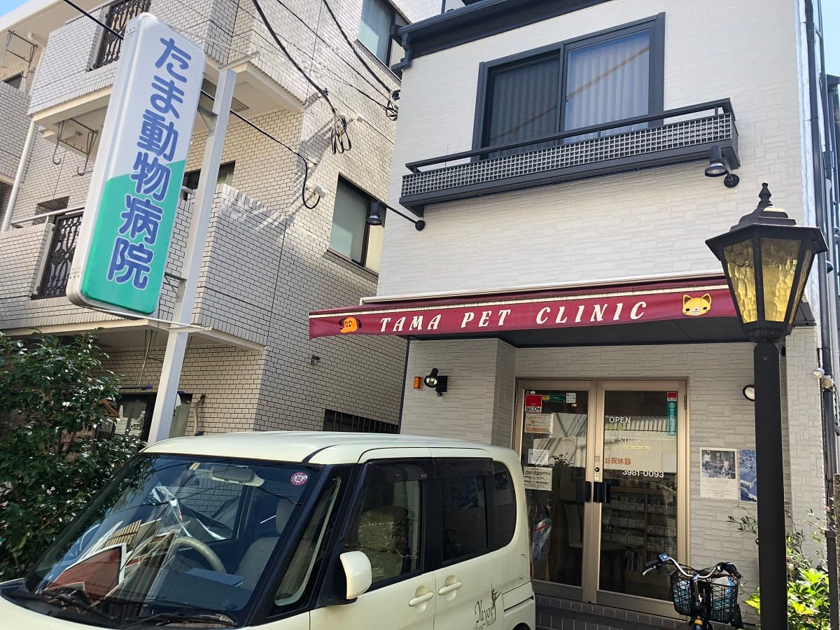たま動物病院
