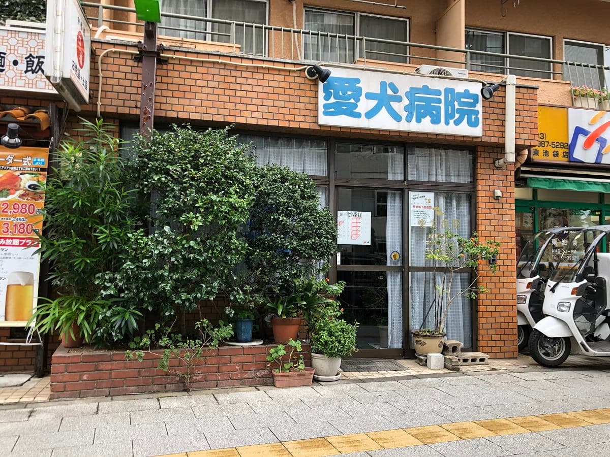 愛犬病院