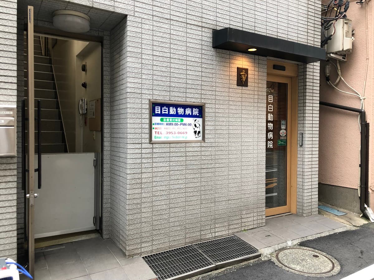 目白動物病院
