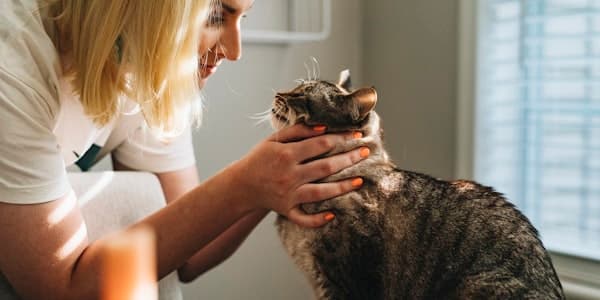 獣医師に診察を受ける犬