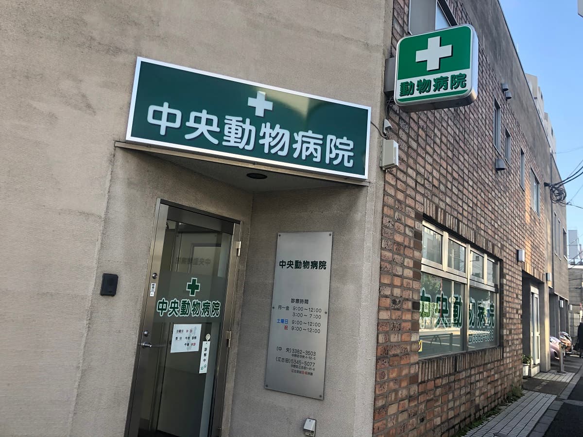 中央動物病院/中央