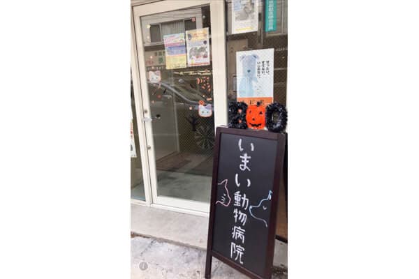 いまい動物病院(一般診療・TNR) 3