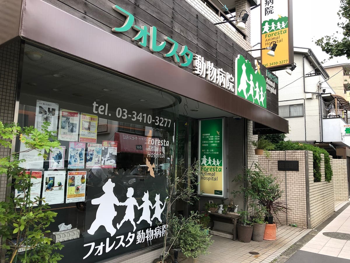 フォレスタ動物病院