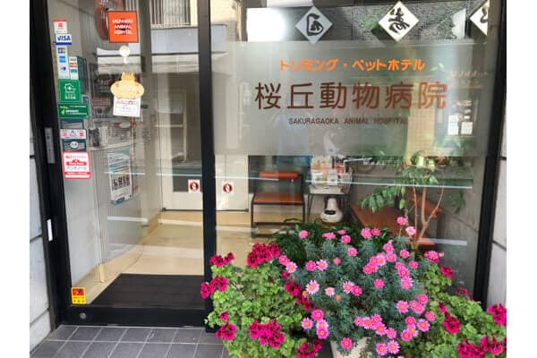 桜丘動物病院