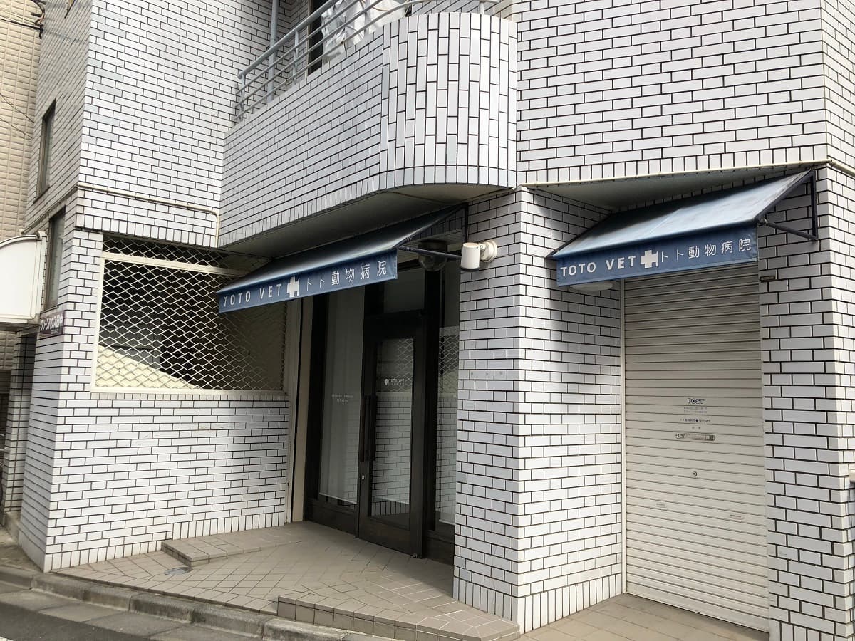 トト動物病院