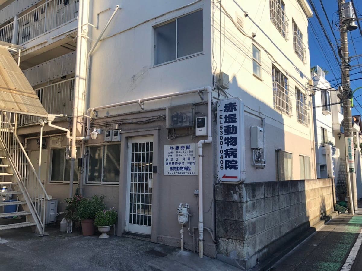 赤堤動物病院