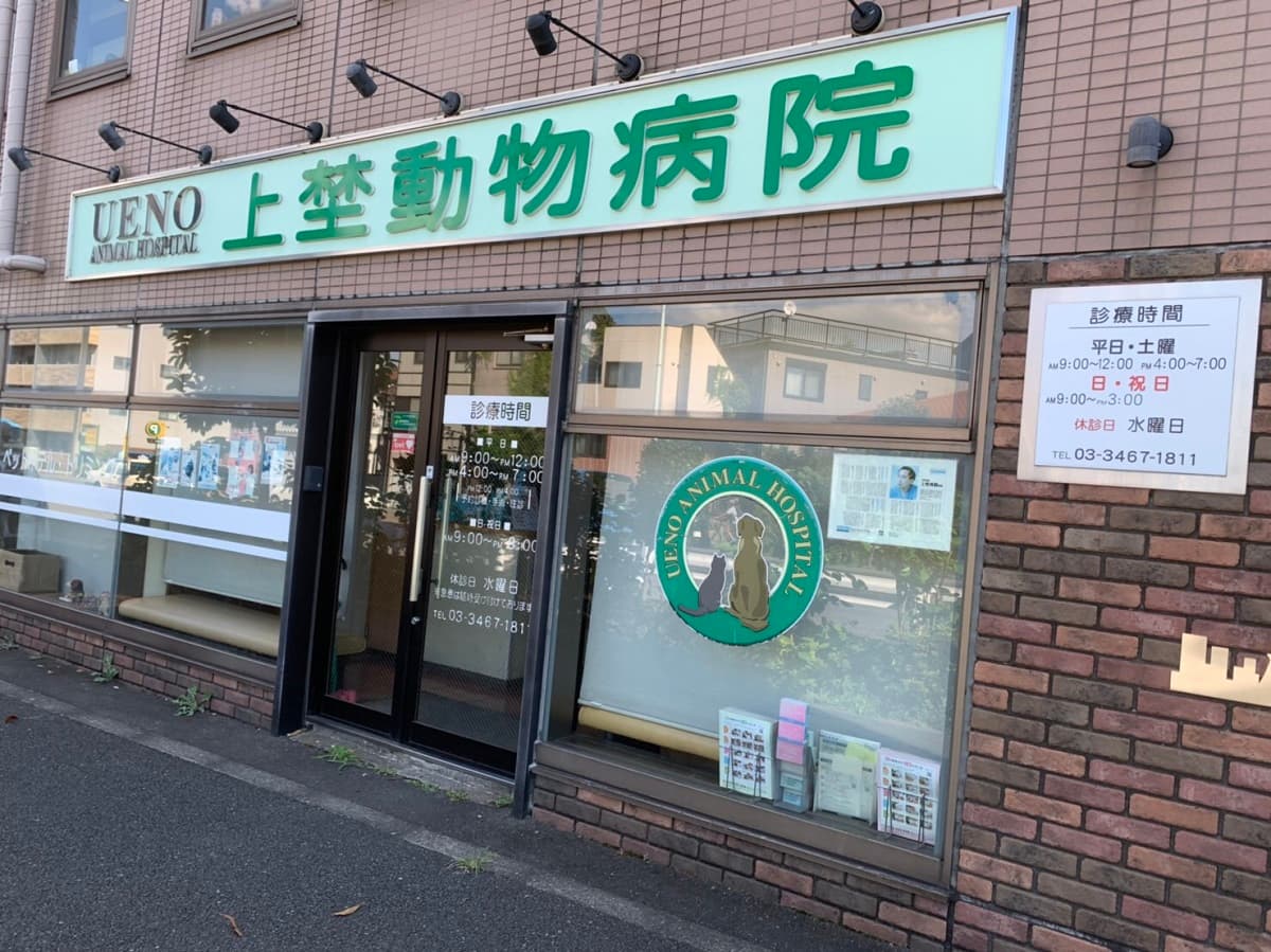 上埜動物病院