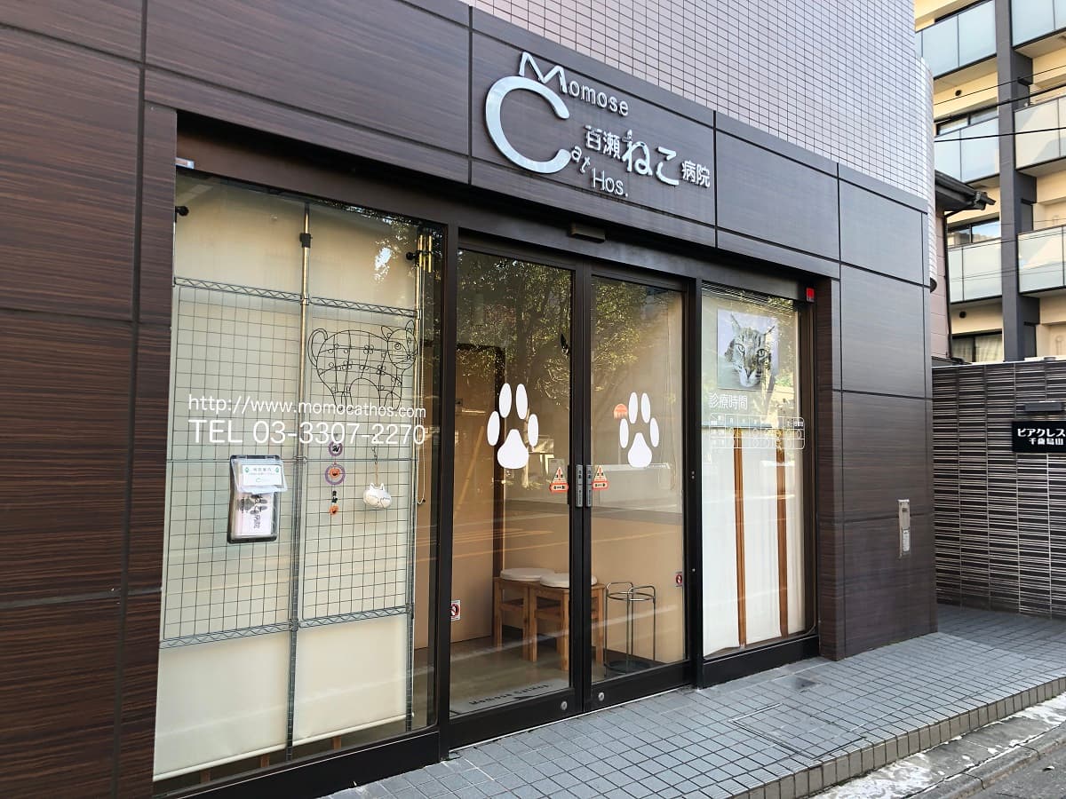 百瀬ねこ病院