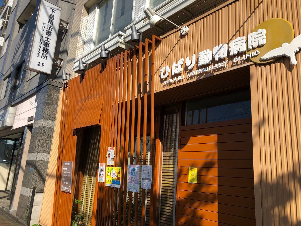 ひばり動物病院