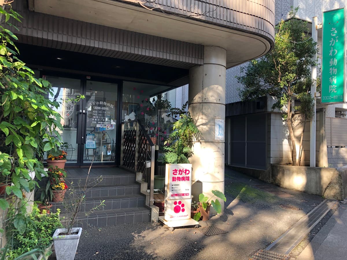 さがわ動物病院