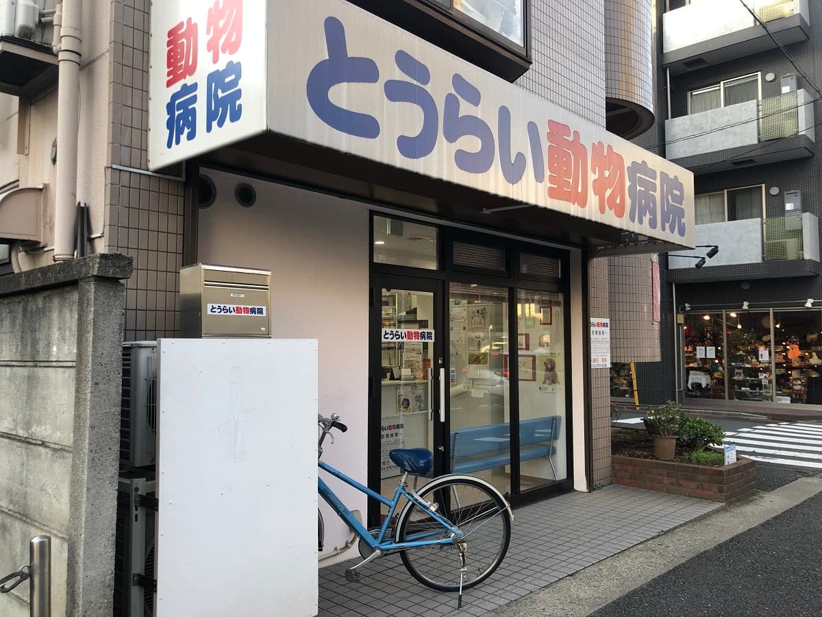 とうらい動物病院