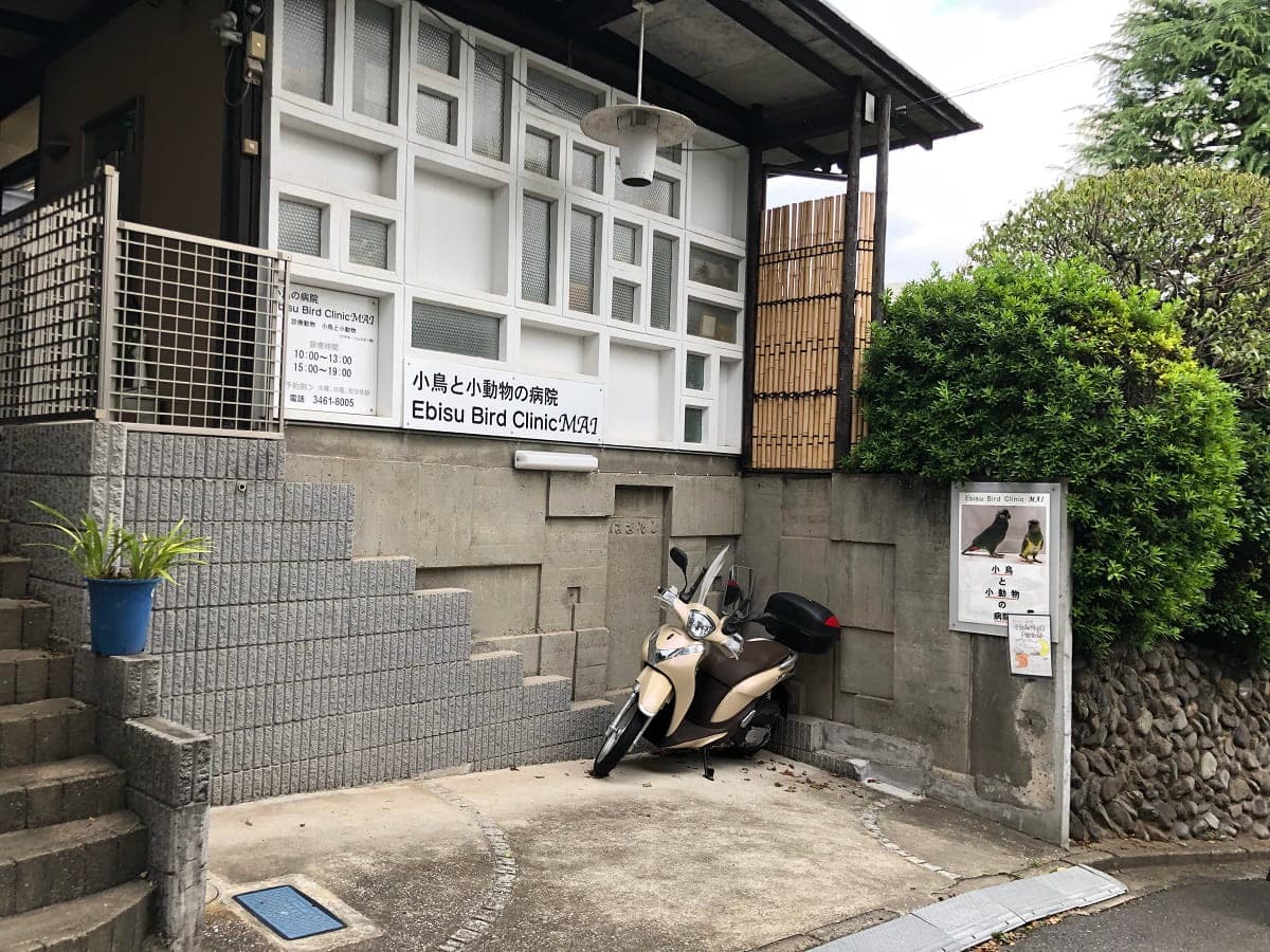 恵比寿BirdClinicMAI