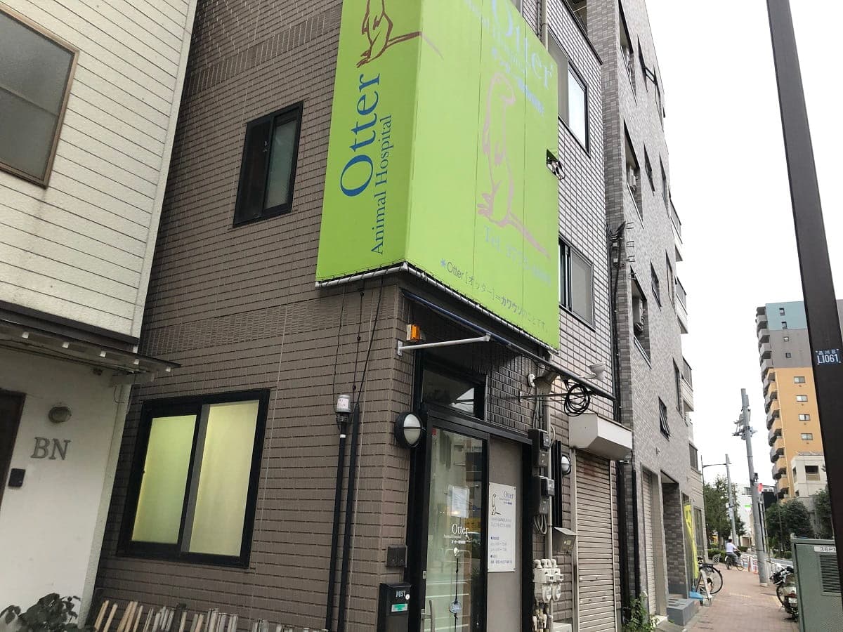 Otter動物病院